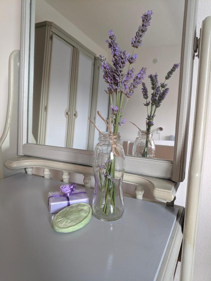 Apartment Soline Pjescana Uvala Zewnętrze zdjęcie