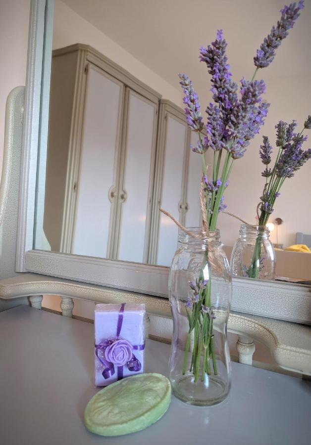 Apartment Soline Pjescana Uvala Zewnętrze zdjęcie